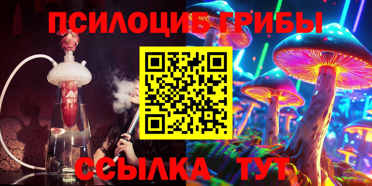 Галлюциногенные грибы Cubensis  Вход с VPN  Новозыбков 