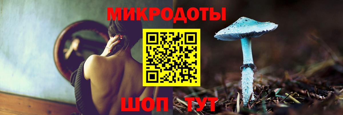 Псилоцибиновые грибы мицелий Новозыбков